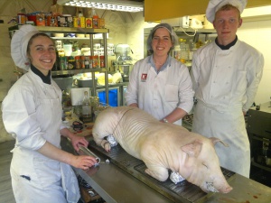 Pig at Belfry